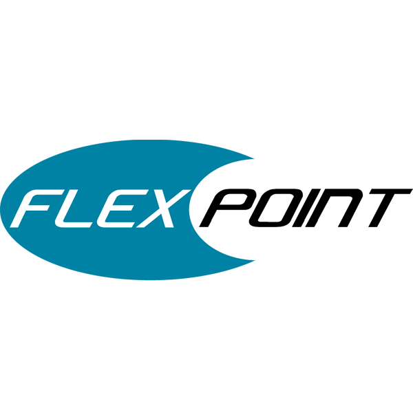 FLEX POINT SYSTEM