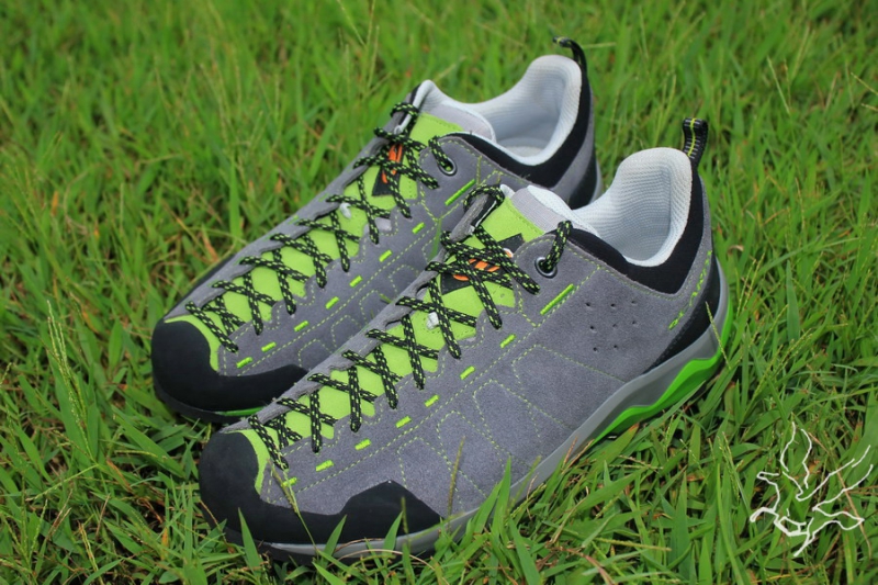 scarpa vitamin