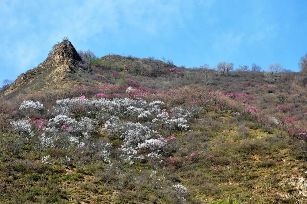 不要扎堆去武功山 这里有8条网友私藏徒步路线-2